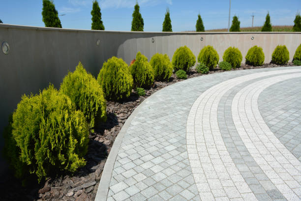 Best Residential Paver Driveway  in Poplar Cotton Center, CA